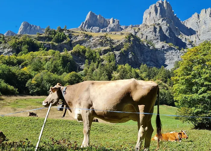 Lägenhet Lady Hamilton *