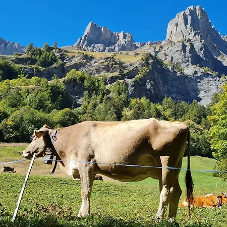 Apartman Lady Hamilton *